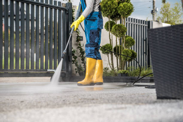 Best Roof Pressure Washing  in Delshire, OH